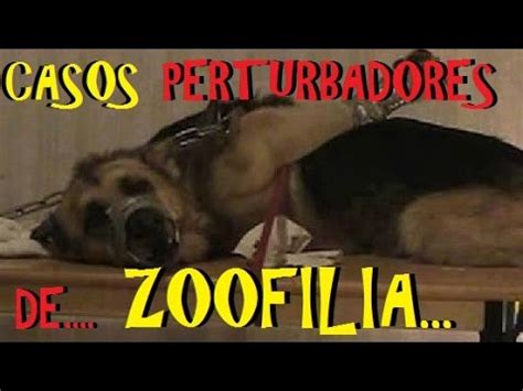 sofilia xxx|Vídeo porno Zoofilia